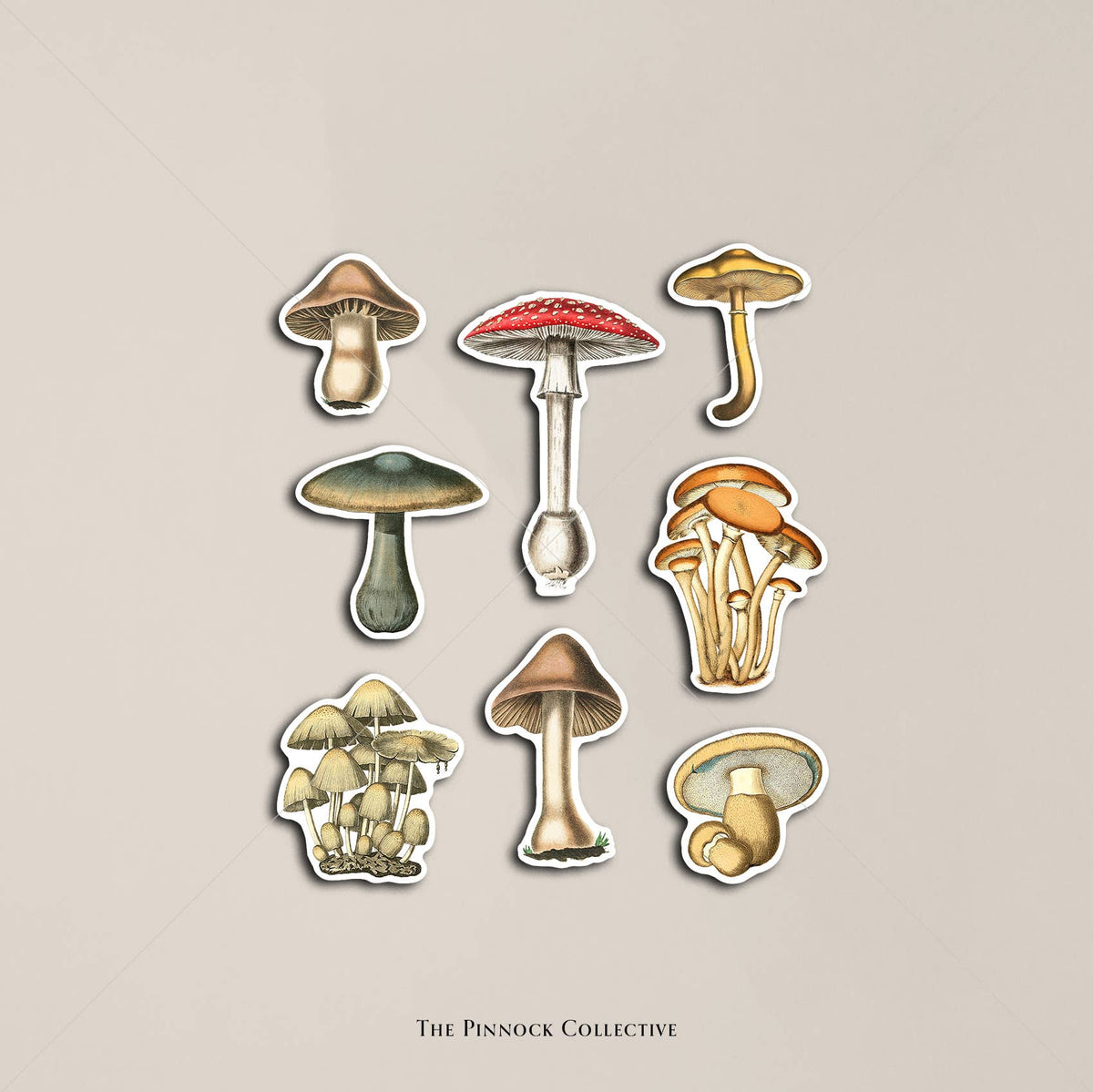 Vintage Mushroom Illustrations Sticker sheet