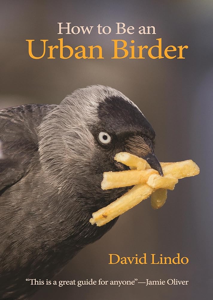 How to Be an Urban Birder (WILDGuides) cover image