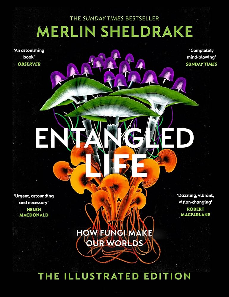 Entangled Life How Fungi Make Our Worlds The Illustrated Edition /anglais cover image
