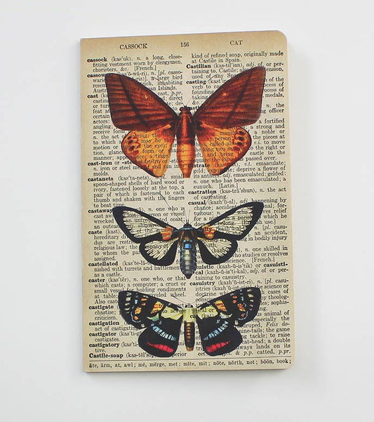 Butterflies Notebook - Butterfly notepad - WAN20401