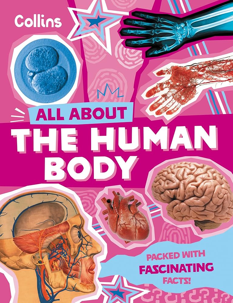 The Human Body (All About) cover image