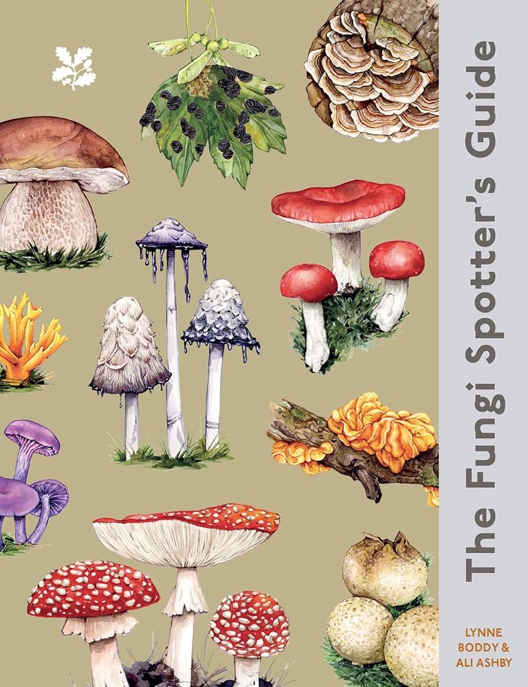 The Fungi Spotter's Guide (National Trust) cover image