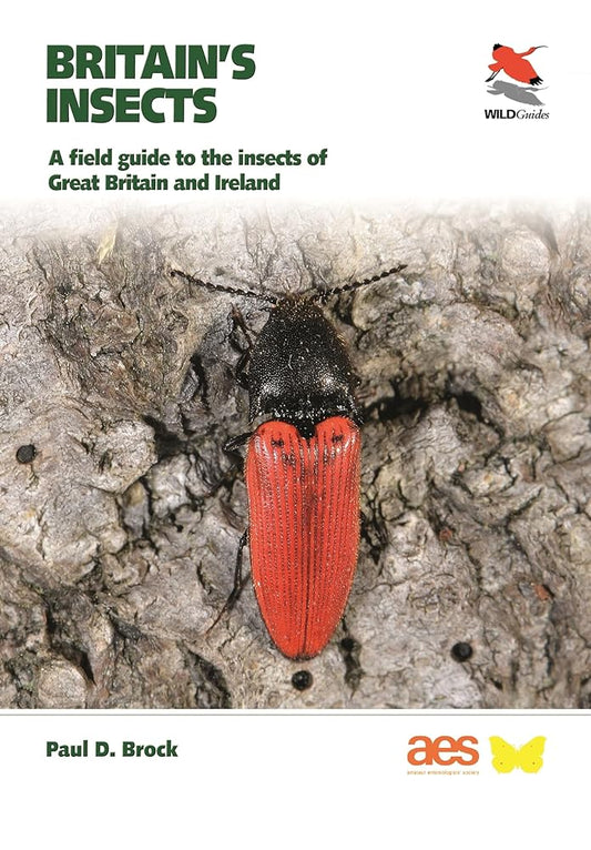 Britain's Insects: A Field Guide to the Insects of Great Britain and Ireland (WILDGuides) cover image