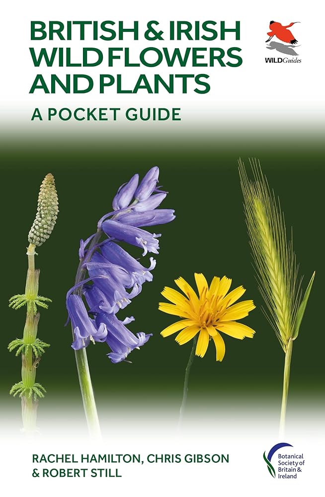 British and Irish Wild Flowers and Plants: A Pocket Guide (WILDGuides) cover image