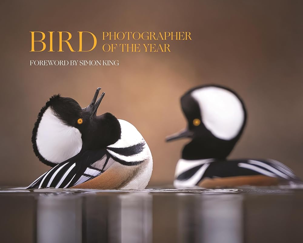 Bird Photographer of the Year: Collection 9 cover image