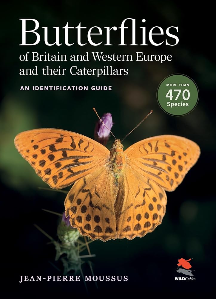 Butterflies of Britain and Western Europe and Their Caterpillars: An Identification Guide (WILDGuides) cover image