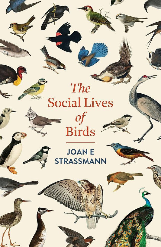 The Social Lives of Birds: a must-read for bird and nature lovers cover image