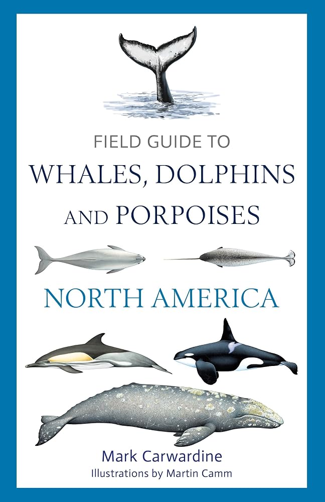 Field Guide to Whales, Dolphins and Porpoises of North America cover image
