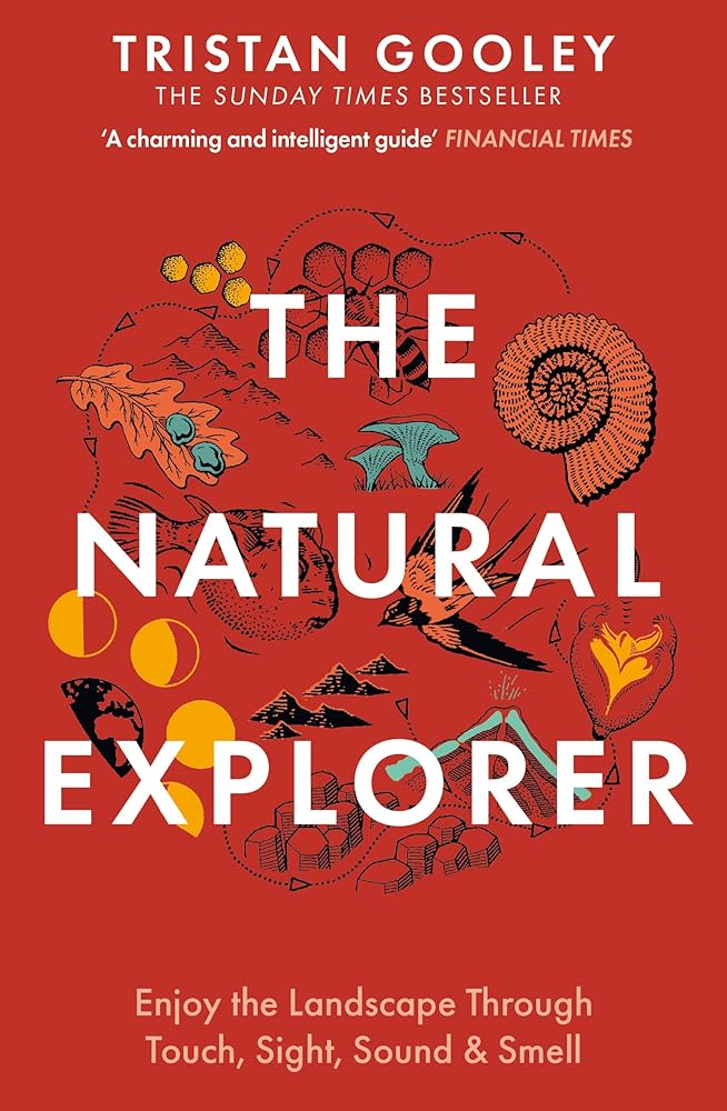 The Natural Explorer: Understanding Your Landscape [Paperback] Tristan Gooley cover image