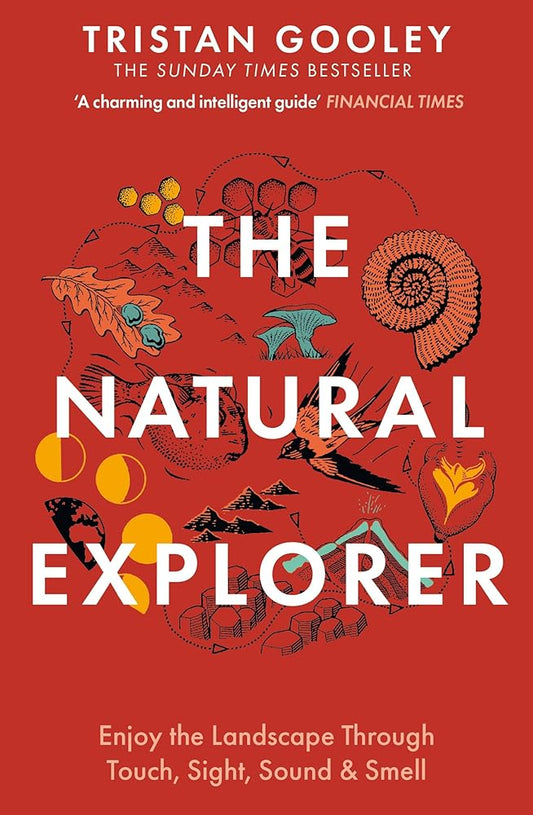 The Natural Explorer: Understanding Your Landscape [Paperback] Tristan Gooley cover image