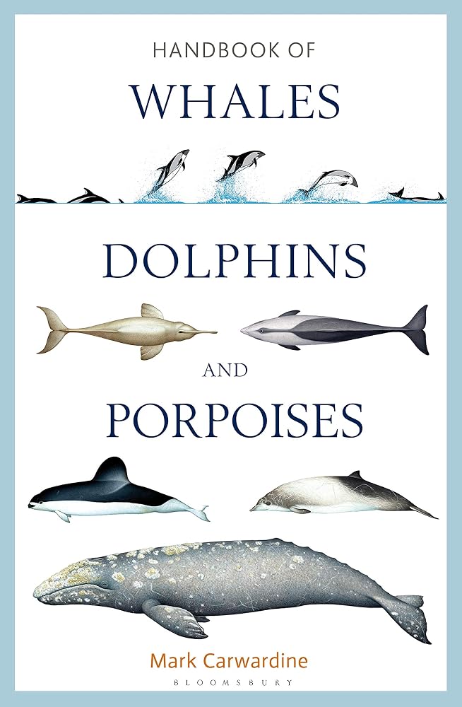 Handbook of Whales, Dolphins and Porpoises cover image