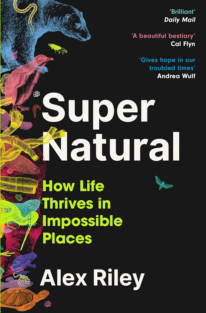 Super Natural cover image