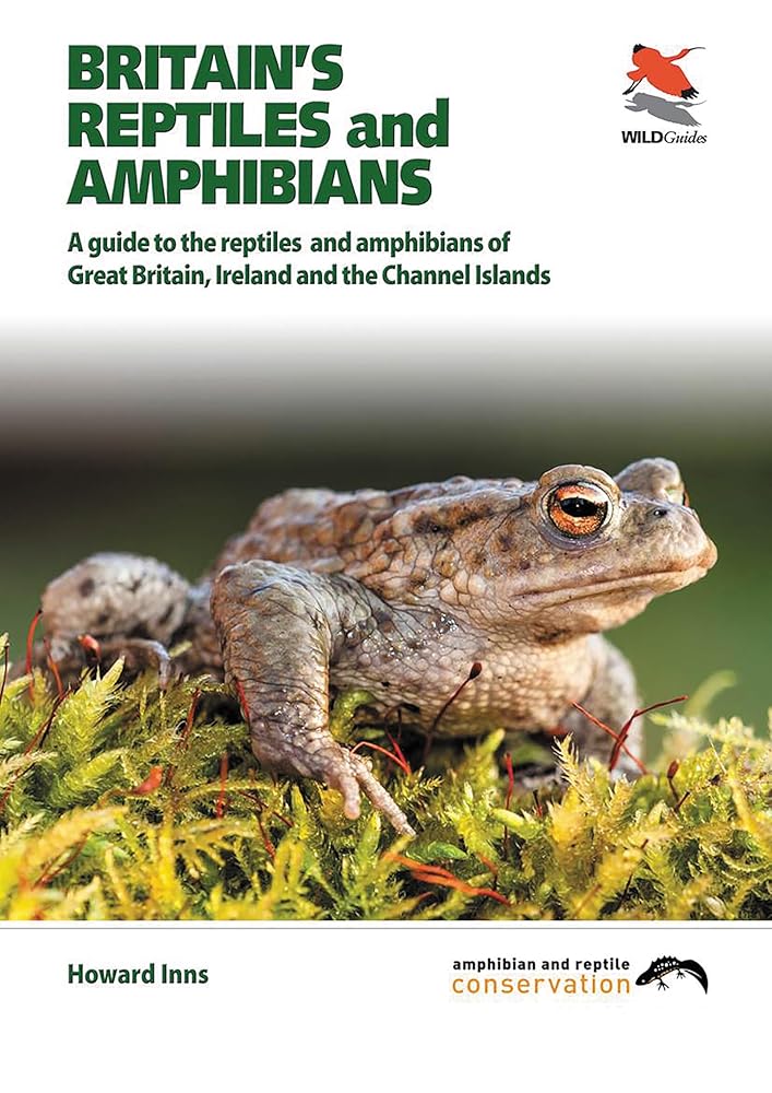 Britain's Reptiles and Amphibians: A guide to the reptiles and amphibians of Great Britain, Ireland and the Channel Islands (WILDGuides of Britain & Europe) cover image