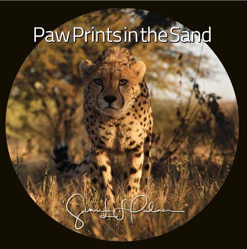 Paw Prints in the Sand