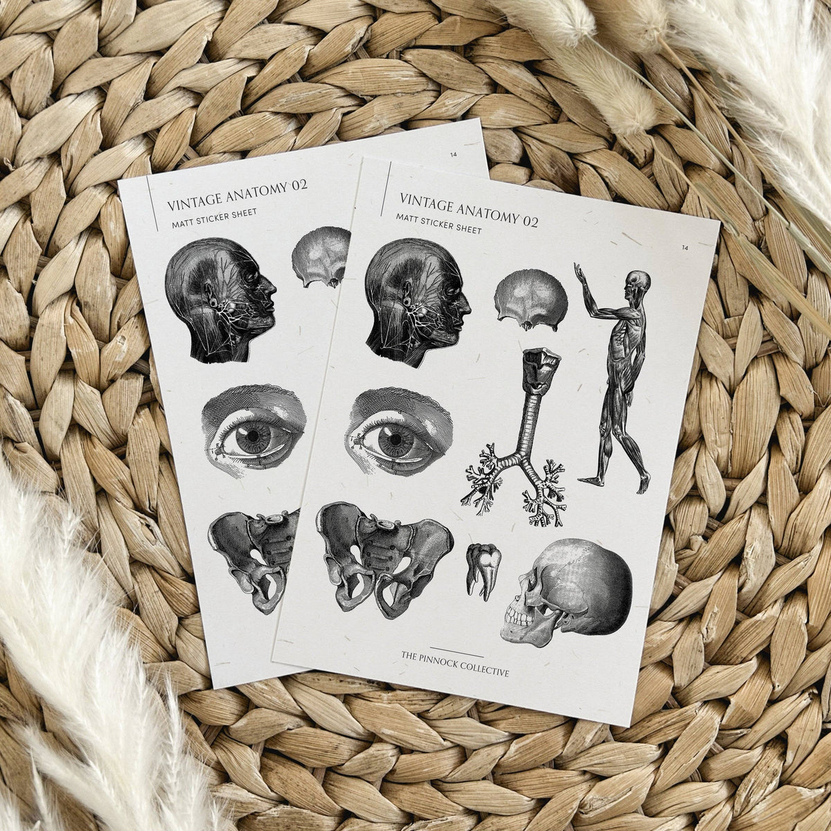 Vintage Medical Sticker Sheet