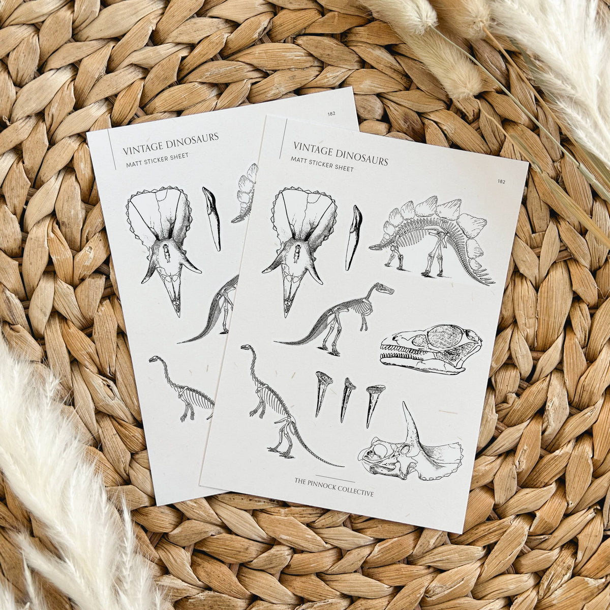Vintage Dinosaur Illustrations Sticker Sheet